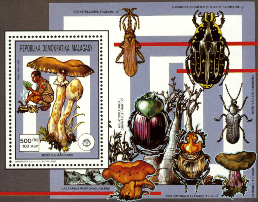 Pathfinger Movement Insects and Fungi 1991