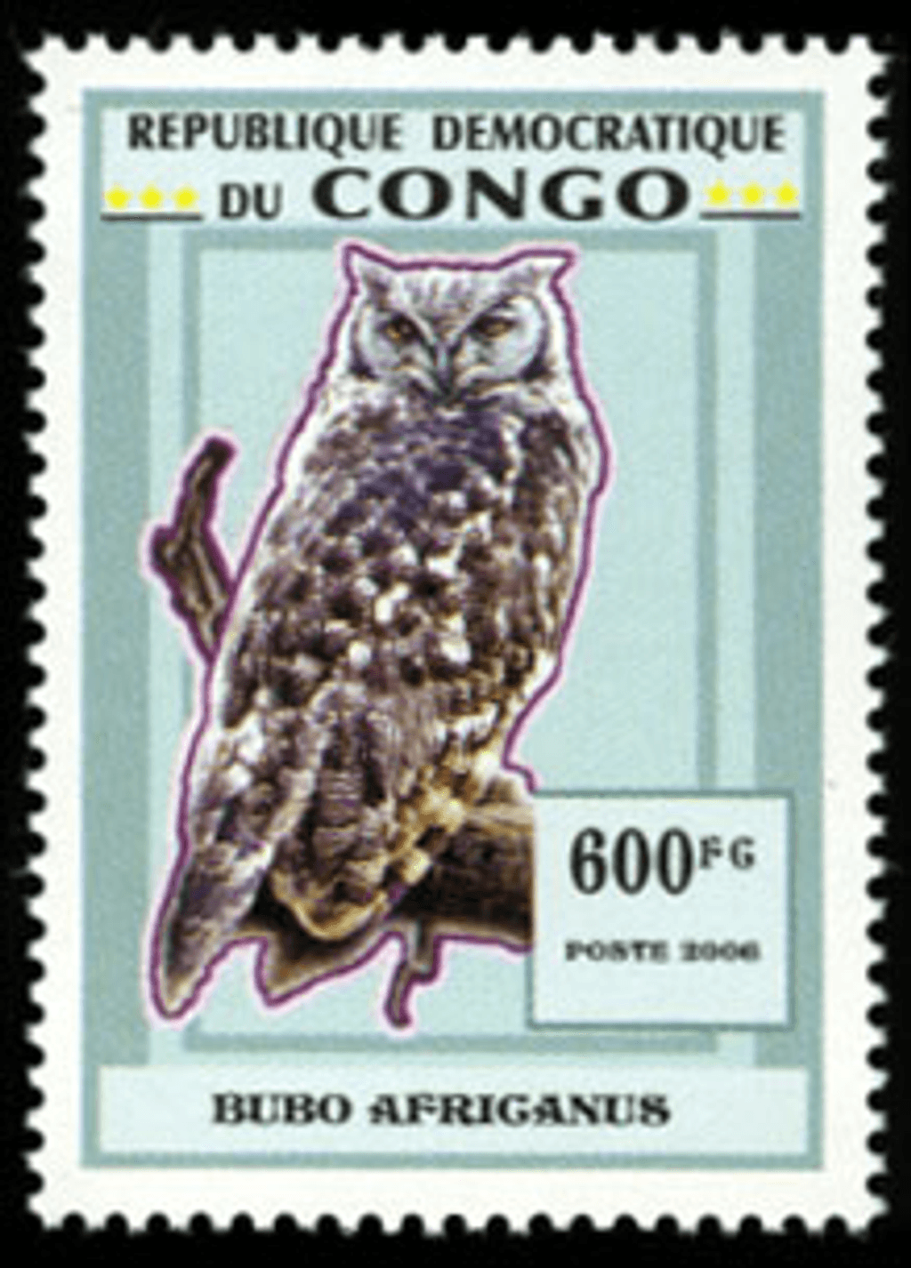 Owls