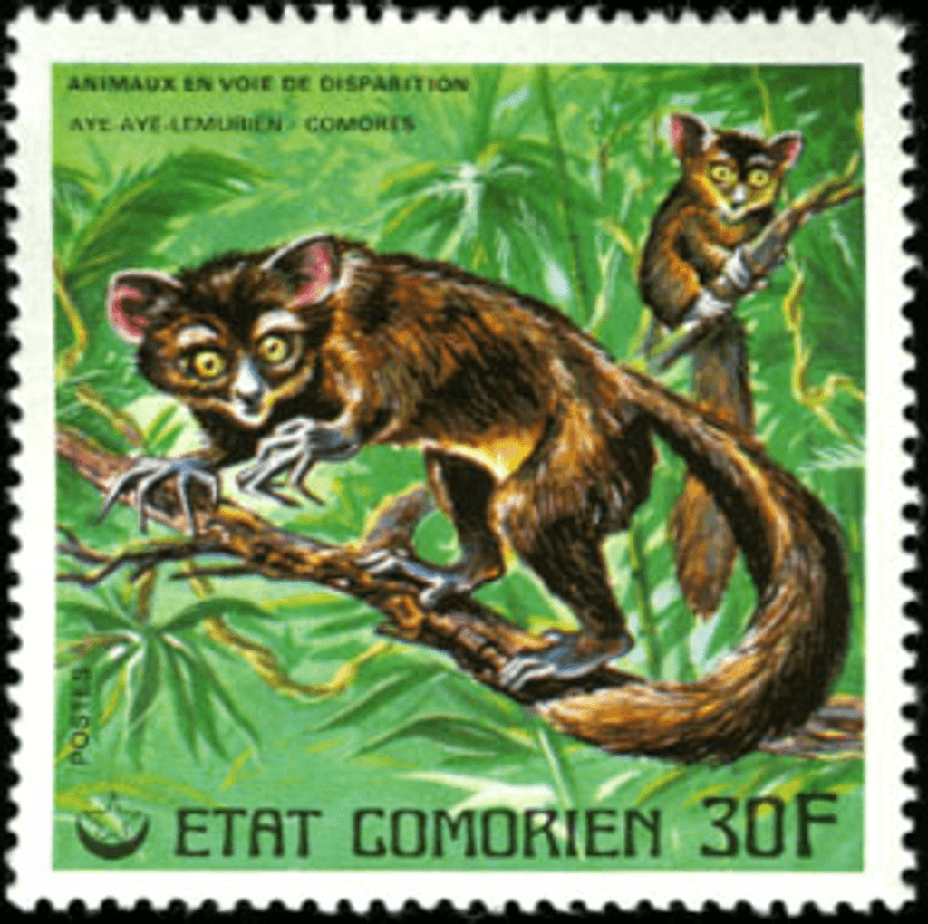 Endangered Animals Part 2