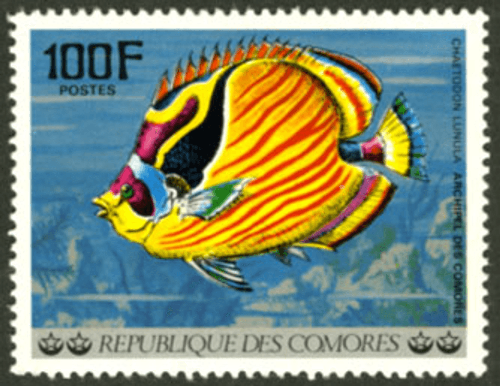 Aquatic Wildlife - Fish