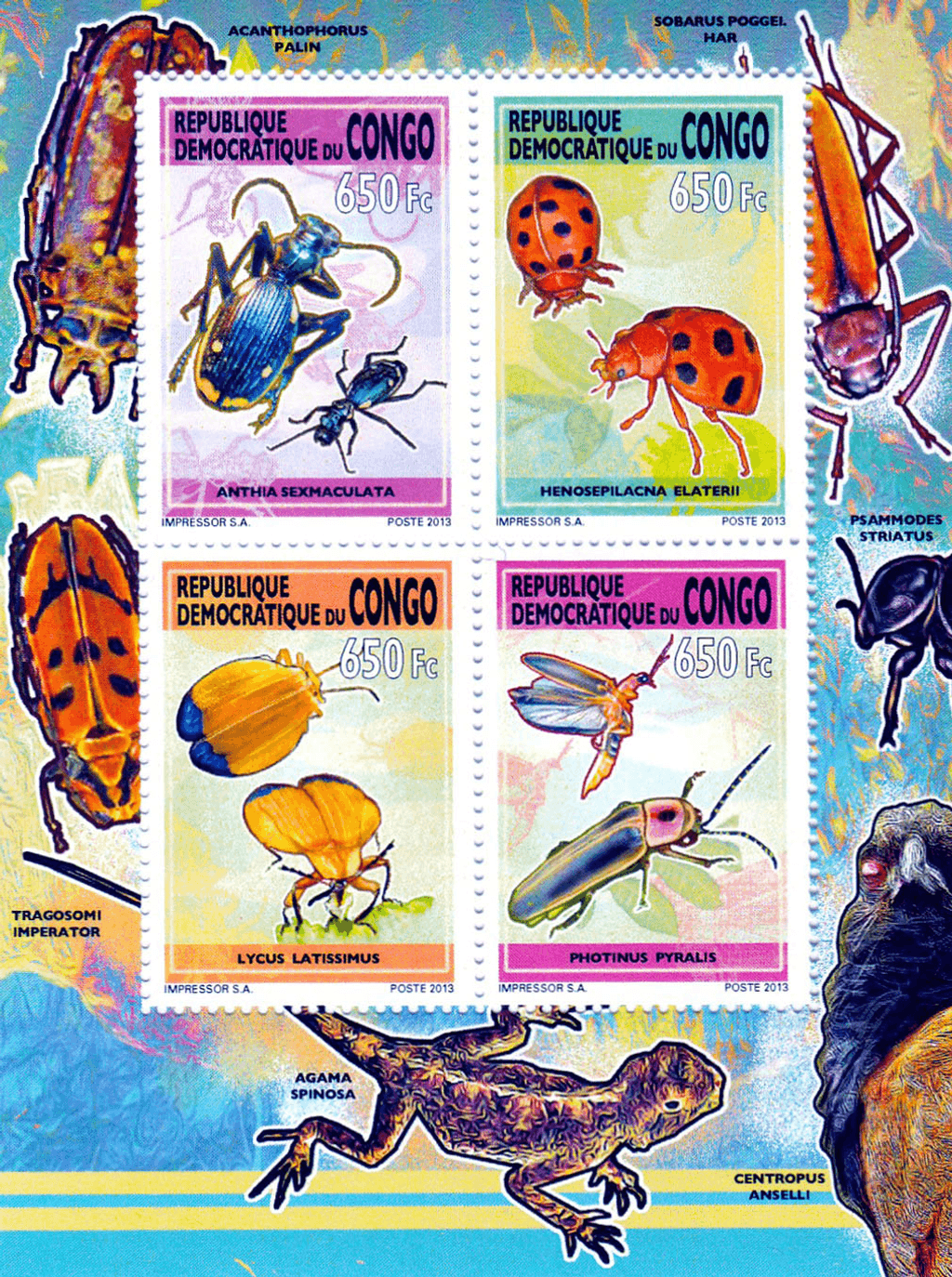 Insect 2012