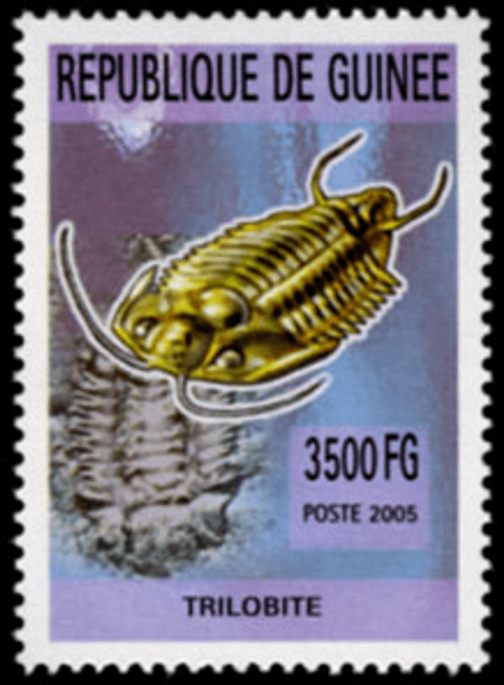 Marine Animals (820)
