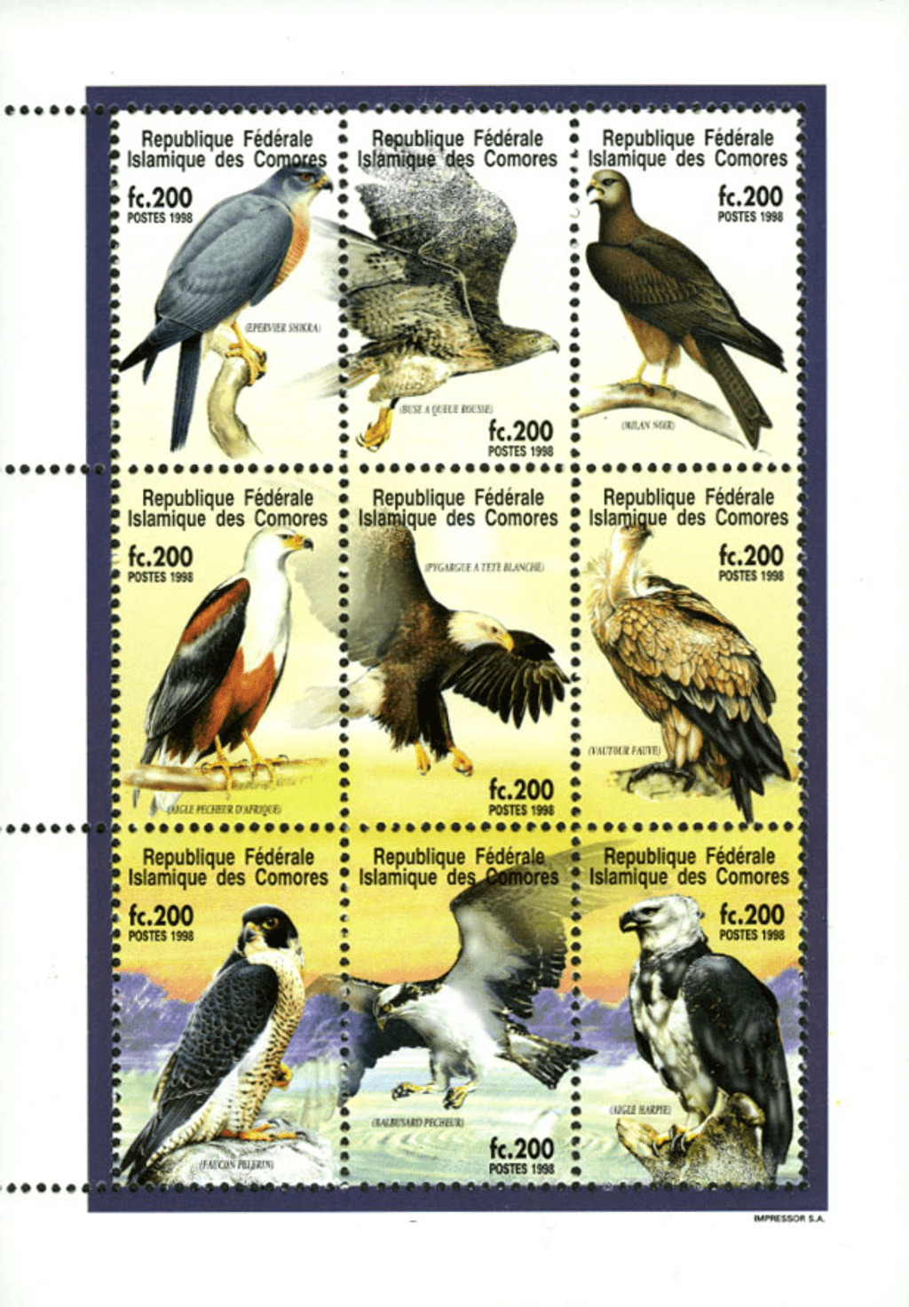 Birds from around the world