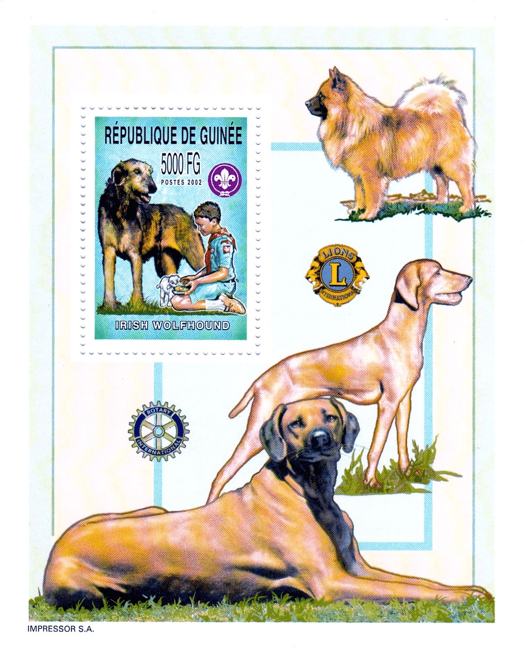 Boy Scout and Dogs 2002