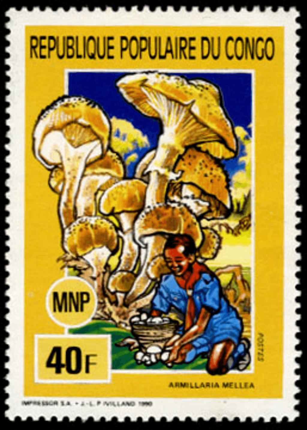Scouting , Mushrooms & Butterflies