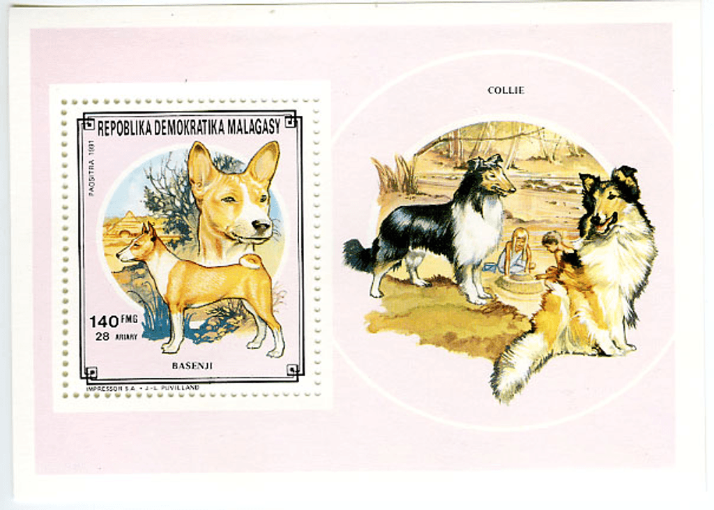 Domestic animals