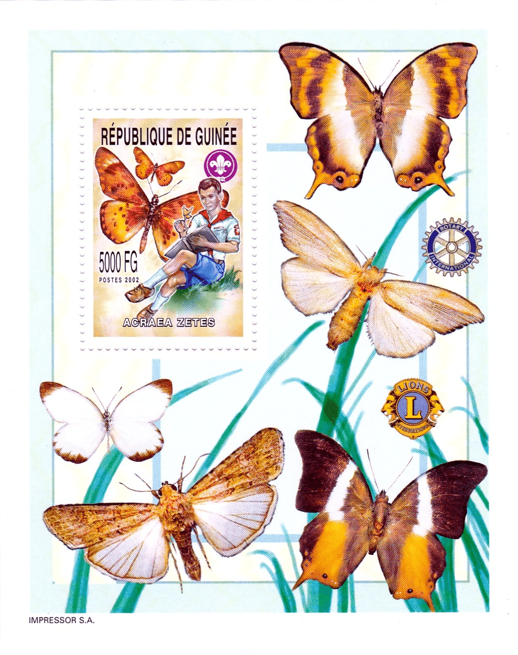 Boy Scout and Butterflies 2002