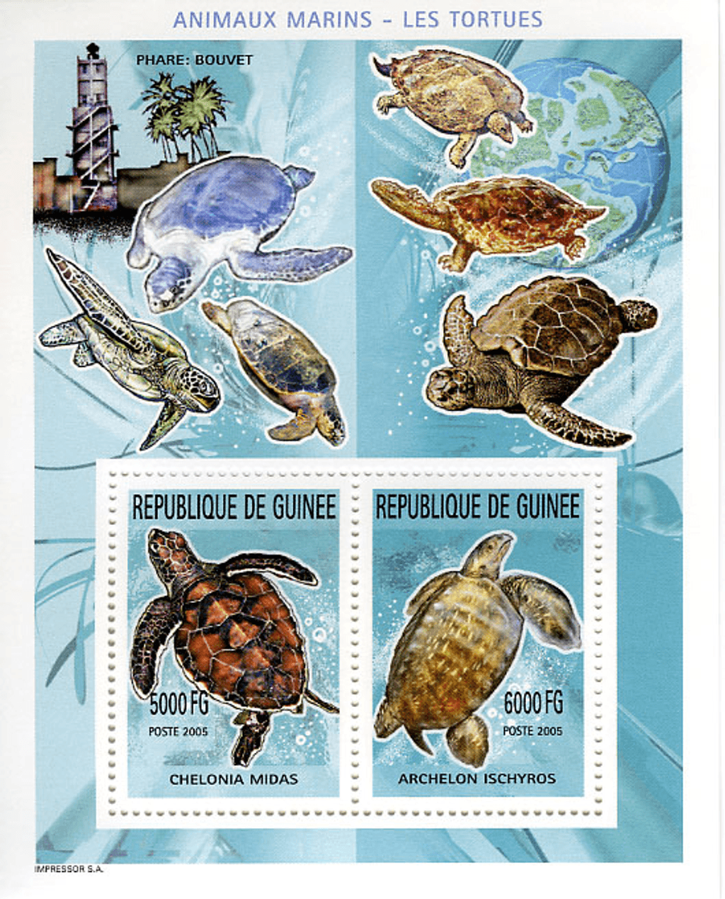 Marine Animals (820)