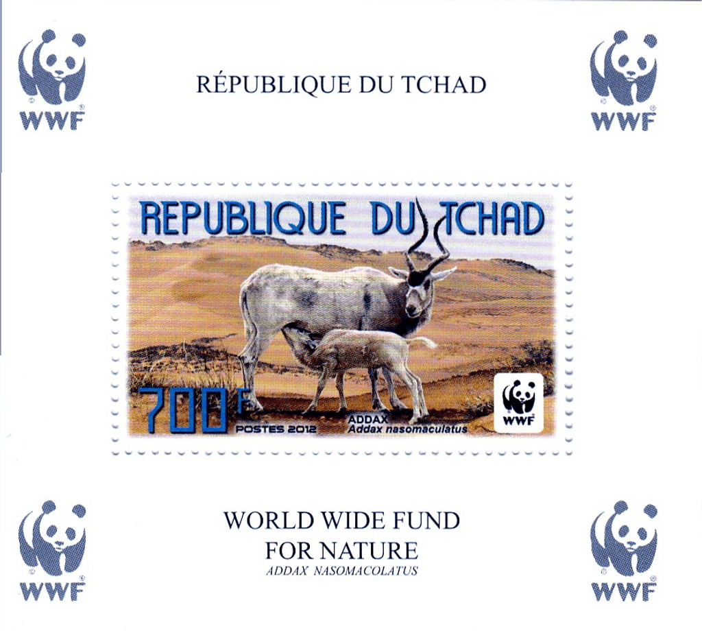 World Wild Nature Antelope 2012