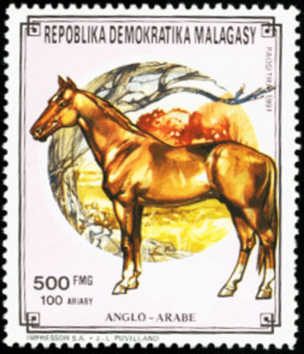Domestic animals