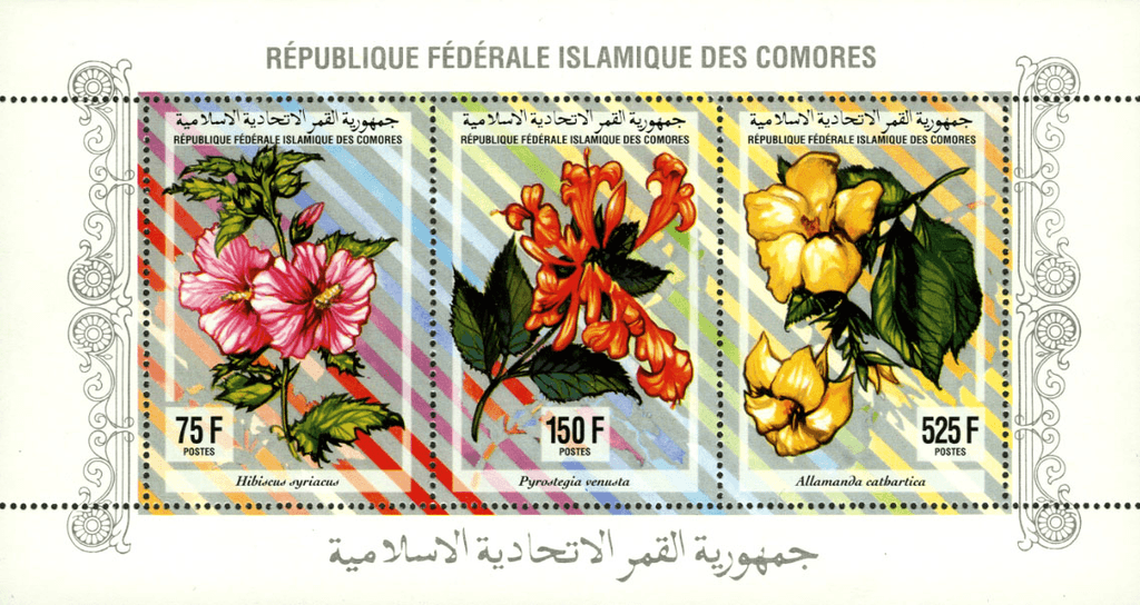 Flowers, fruit and mushrooms