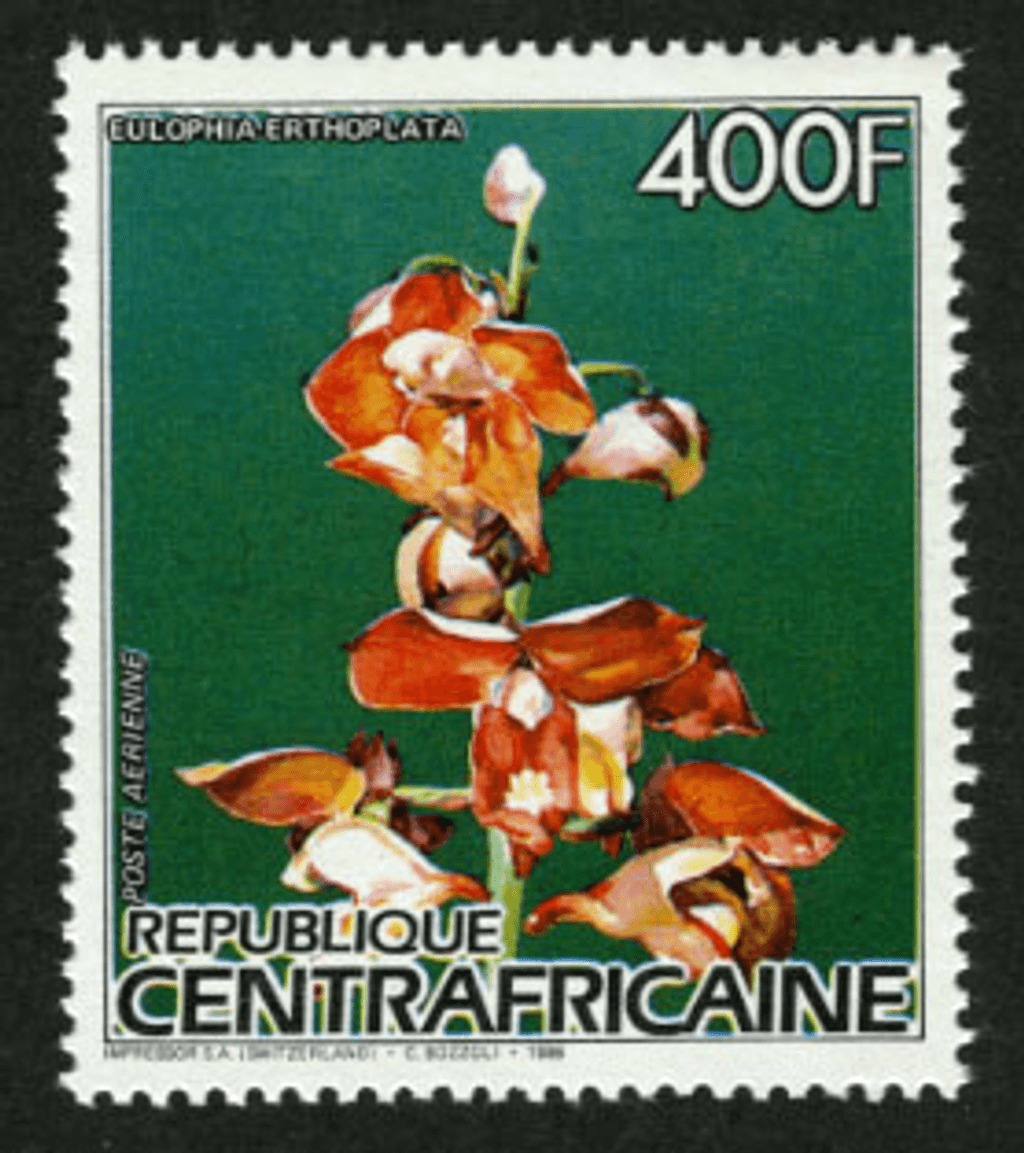 Flora and Fauna 1986