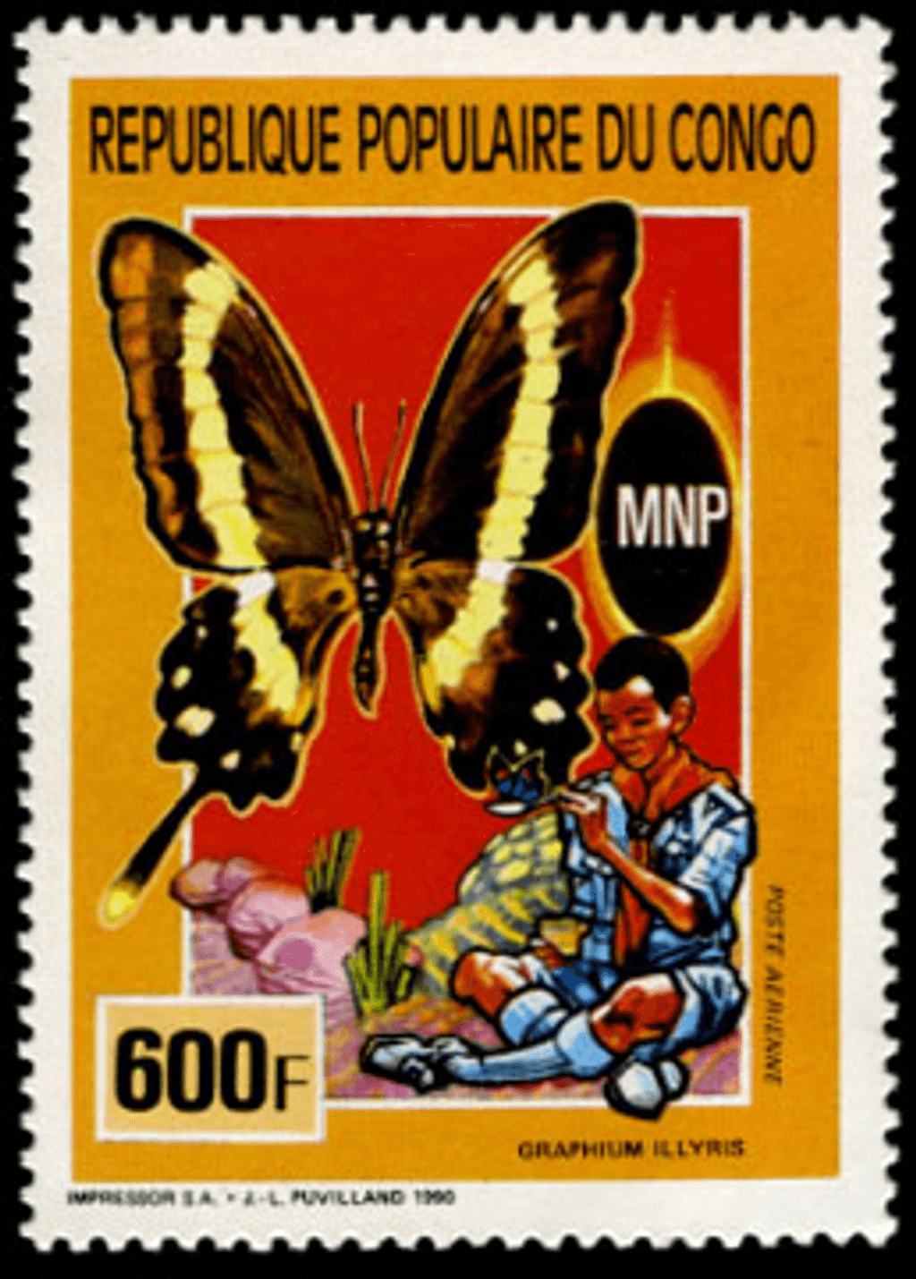 Scouting , Mushrooms & Butterflies
