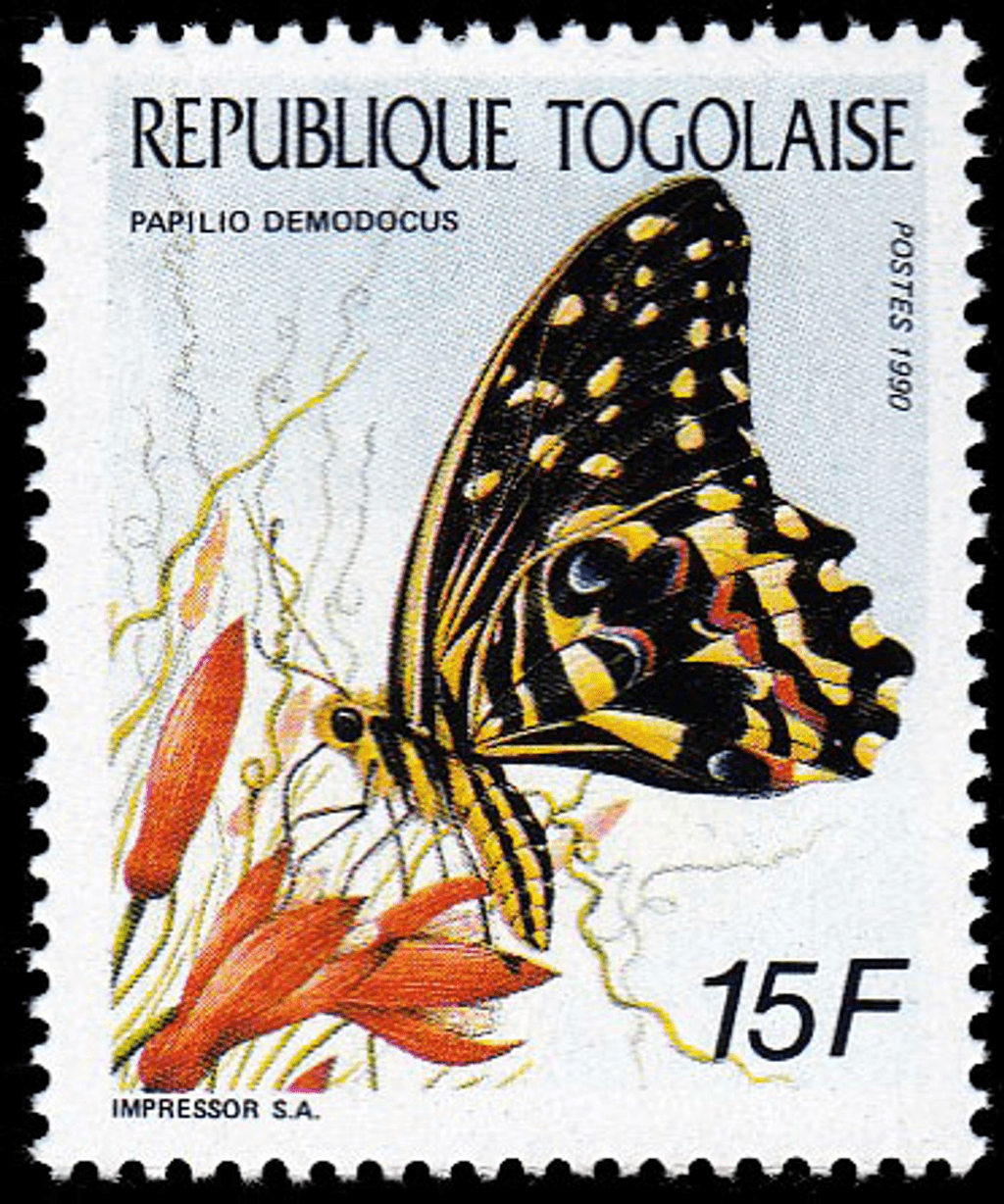 Butterflies 1990