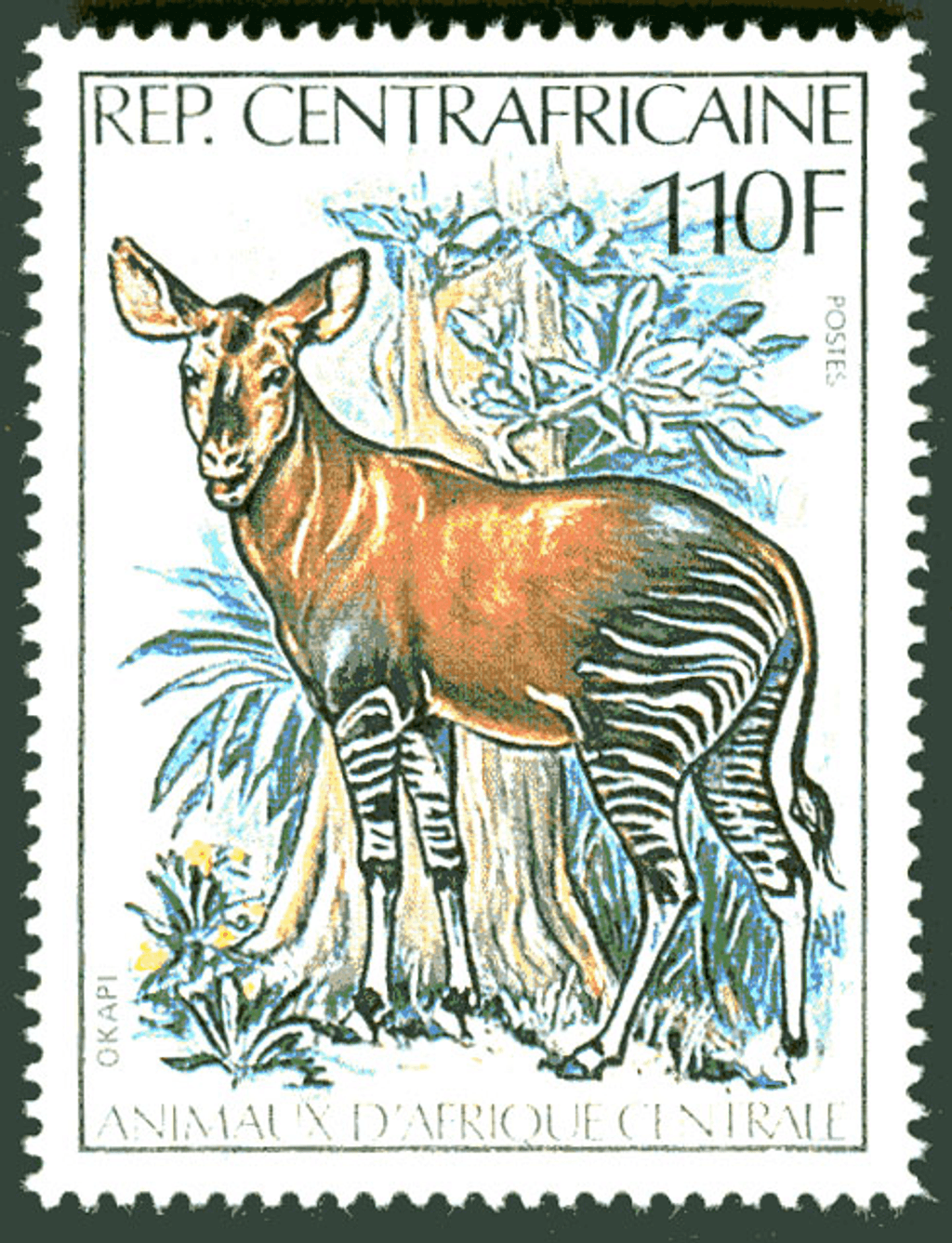 Central Africa Animals