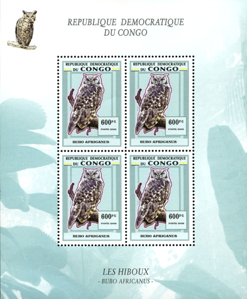 Owls