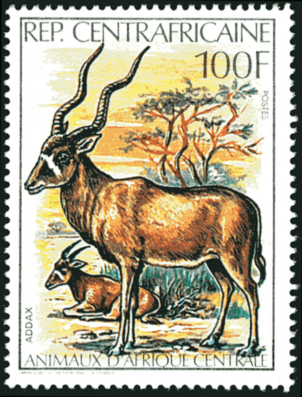 Central Africa Animals