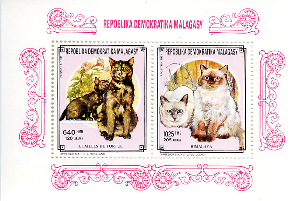 Domestic animals