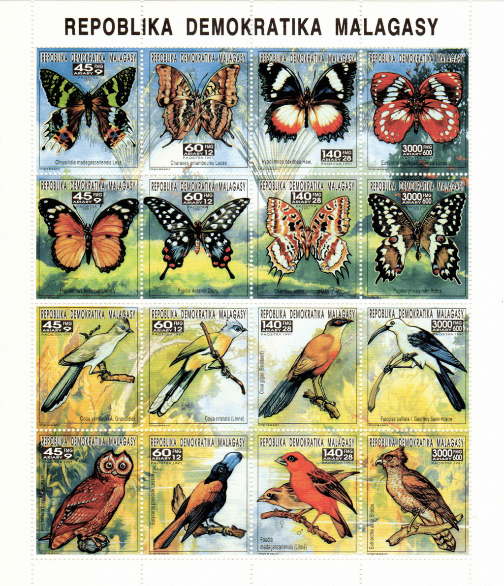 Butterflies and Birds 1993
