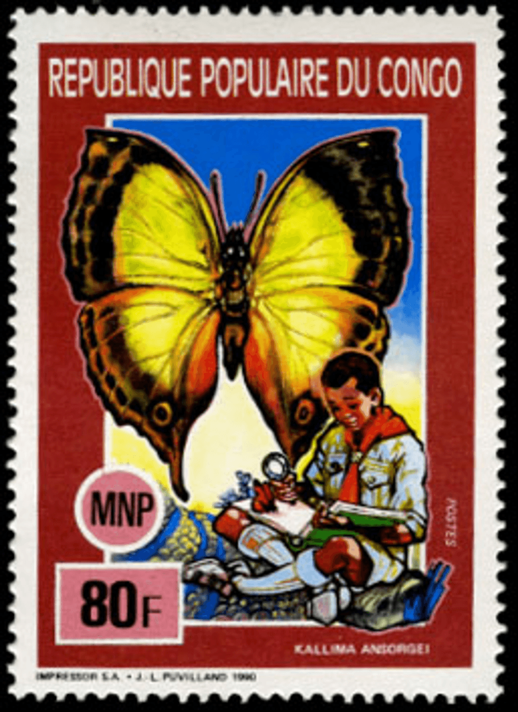 Scouting , Mushrooms & Butterflies