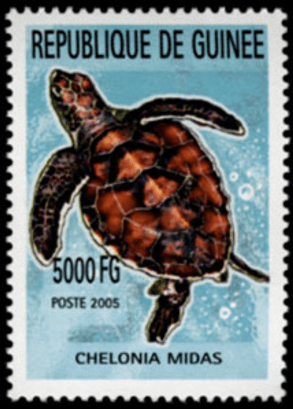 Marine Animals (820)