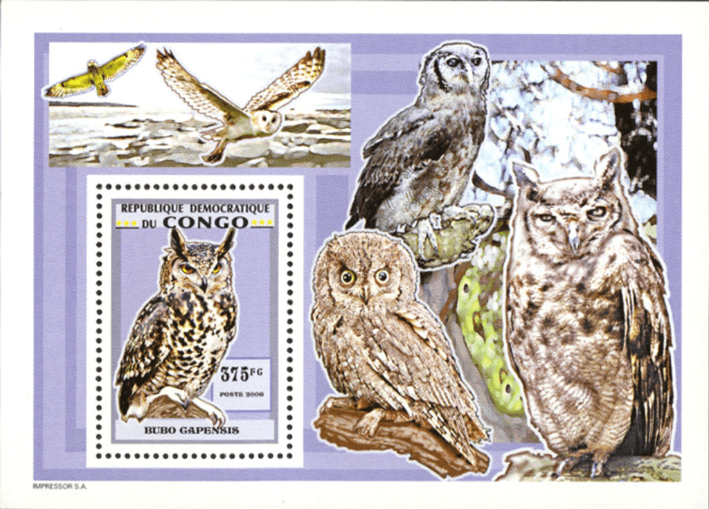 Owls