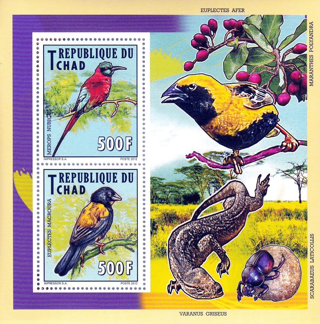 Indigenous Birds 2012