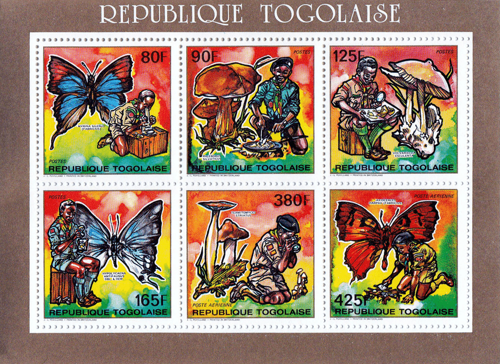 Pathfinder Naming Butterflies and Mushrooms 1990