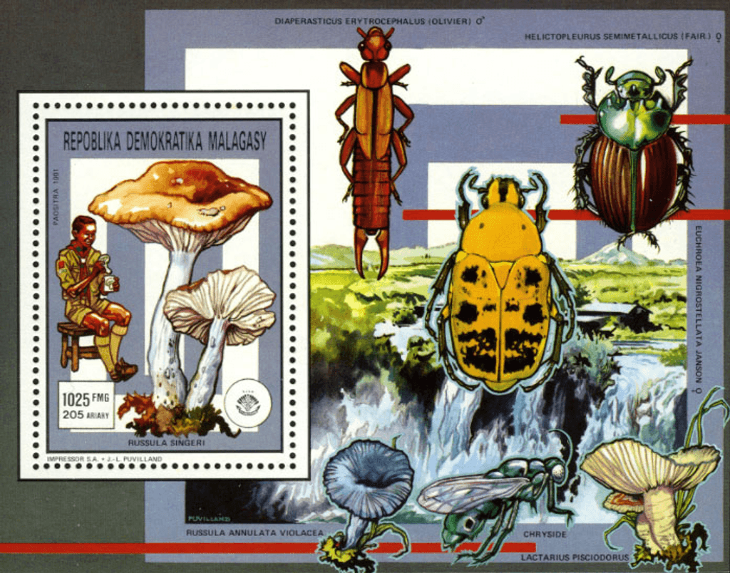 Pathfinger Movement Insects and Fungi 1991
