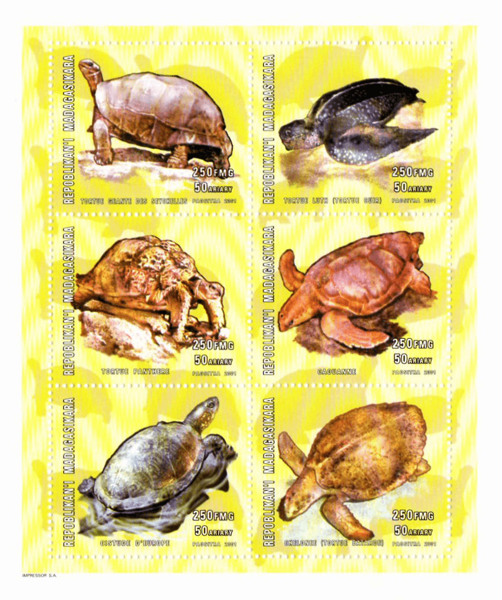 Tortles 2001