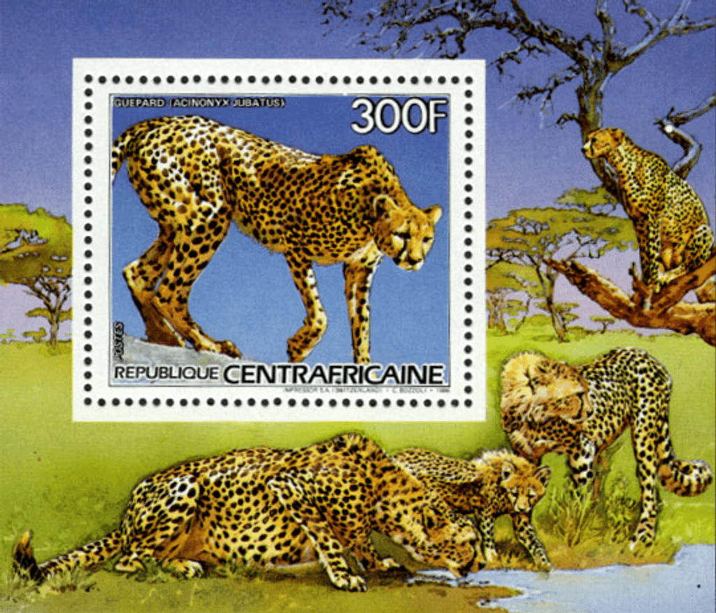 Flora and Fauna 1986
