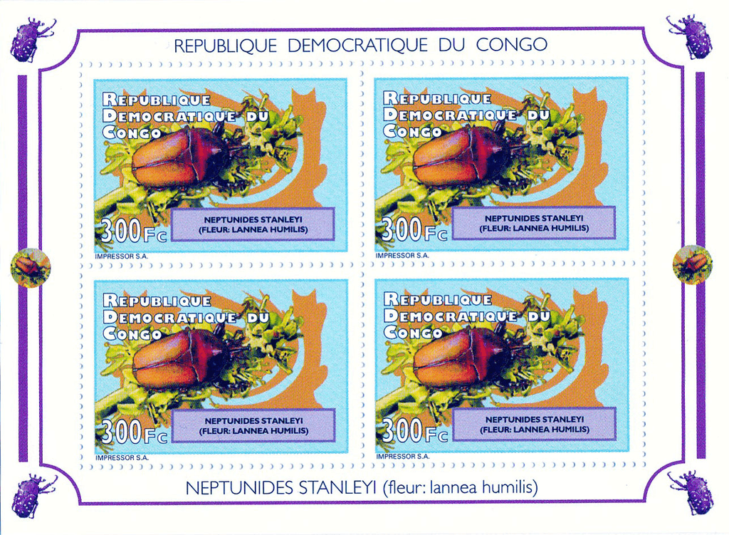 Beetles and Flowers 2012