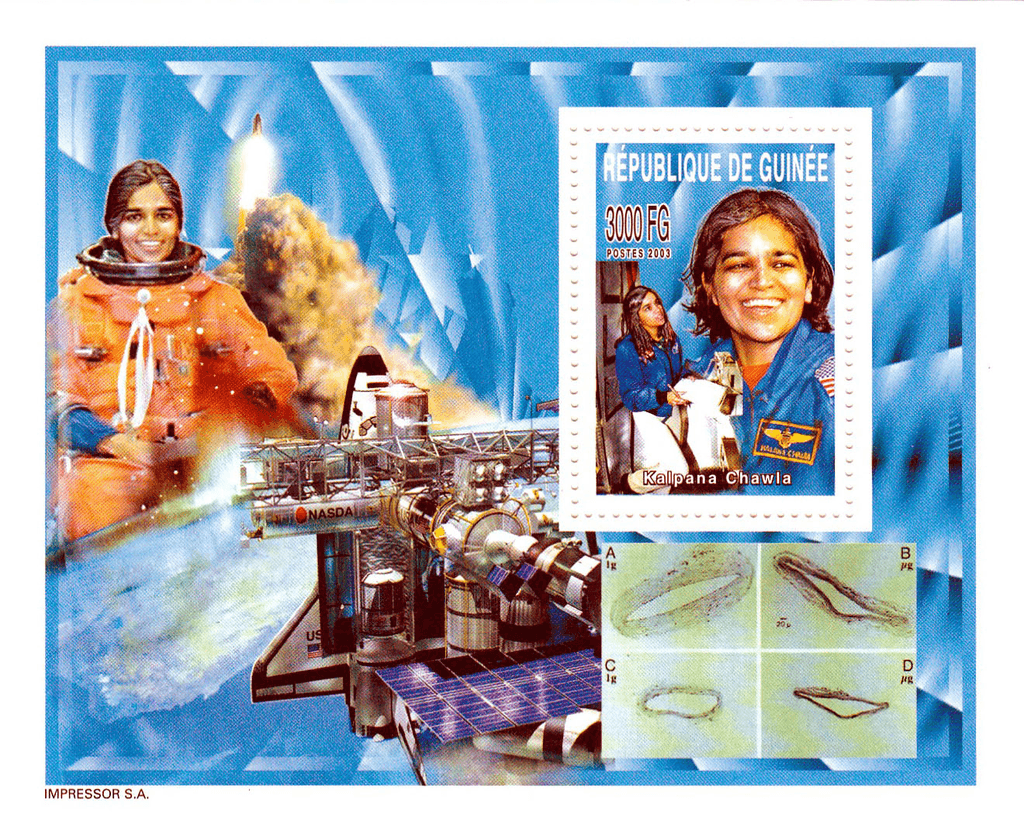 Memory to the victims of the damaged space shuttle « COLUMBIA » (Chawla-Anderson-Brown-McCool-Clark-Ramon-Husband-Columbia STS) 2003