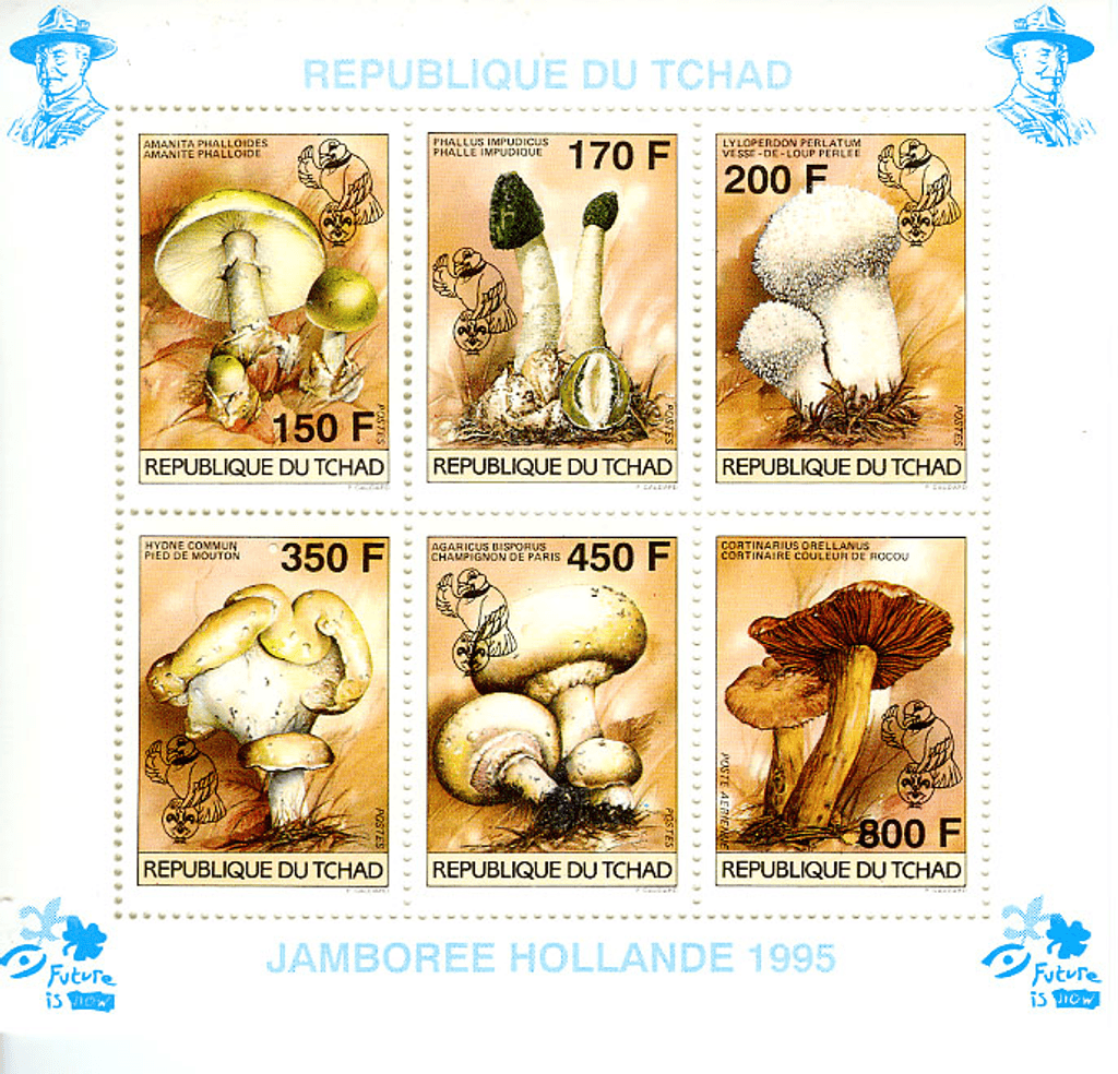 18 th Jamborée Netherland /Mushrooms