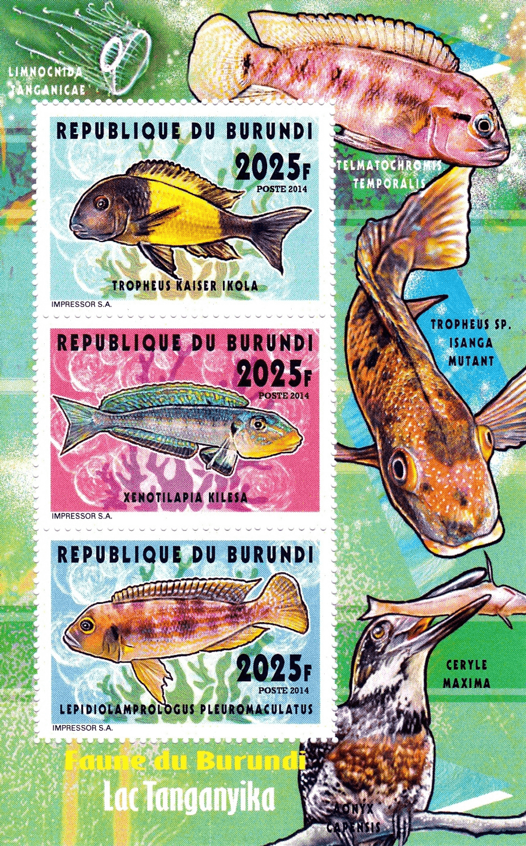 Fish Lake Tanganyika 2025f