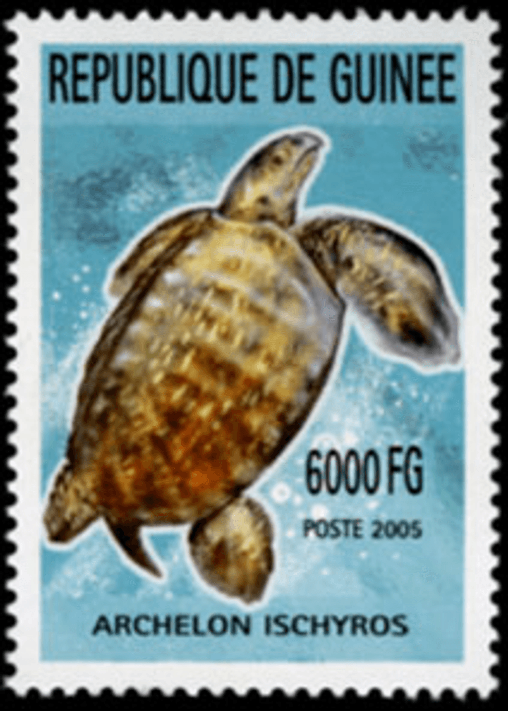 Marine Animals (820)