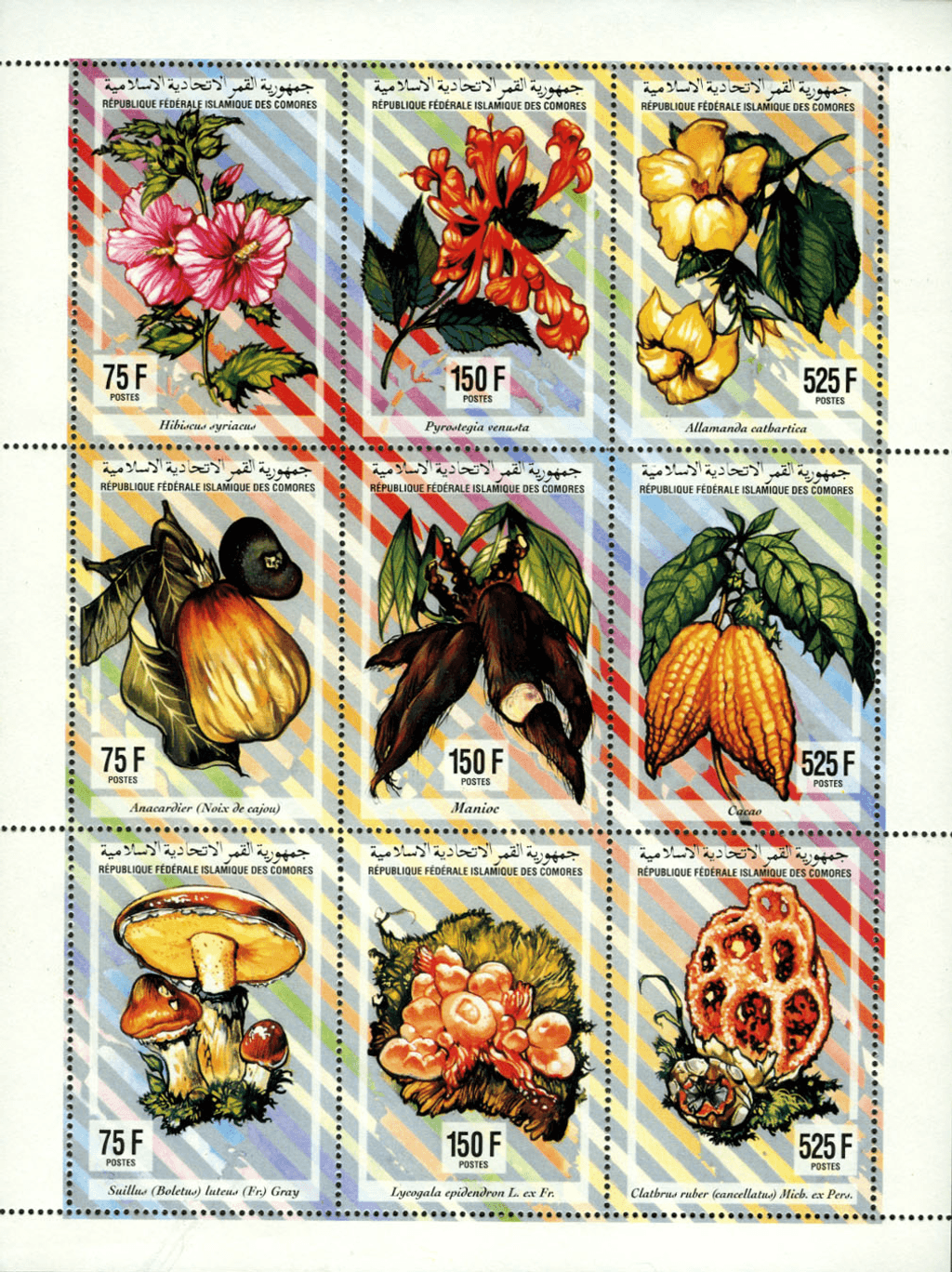 Flowers, fruit and mushrooms