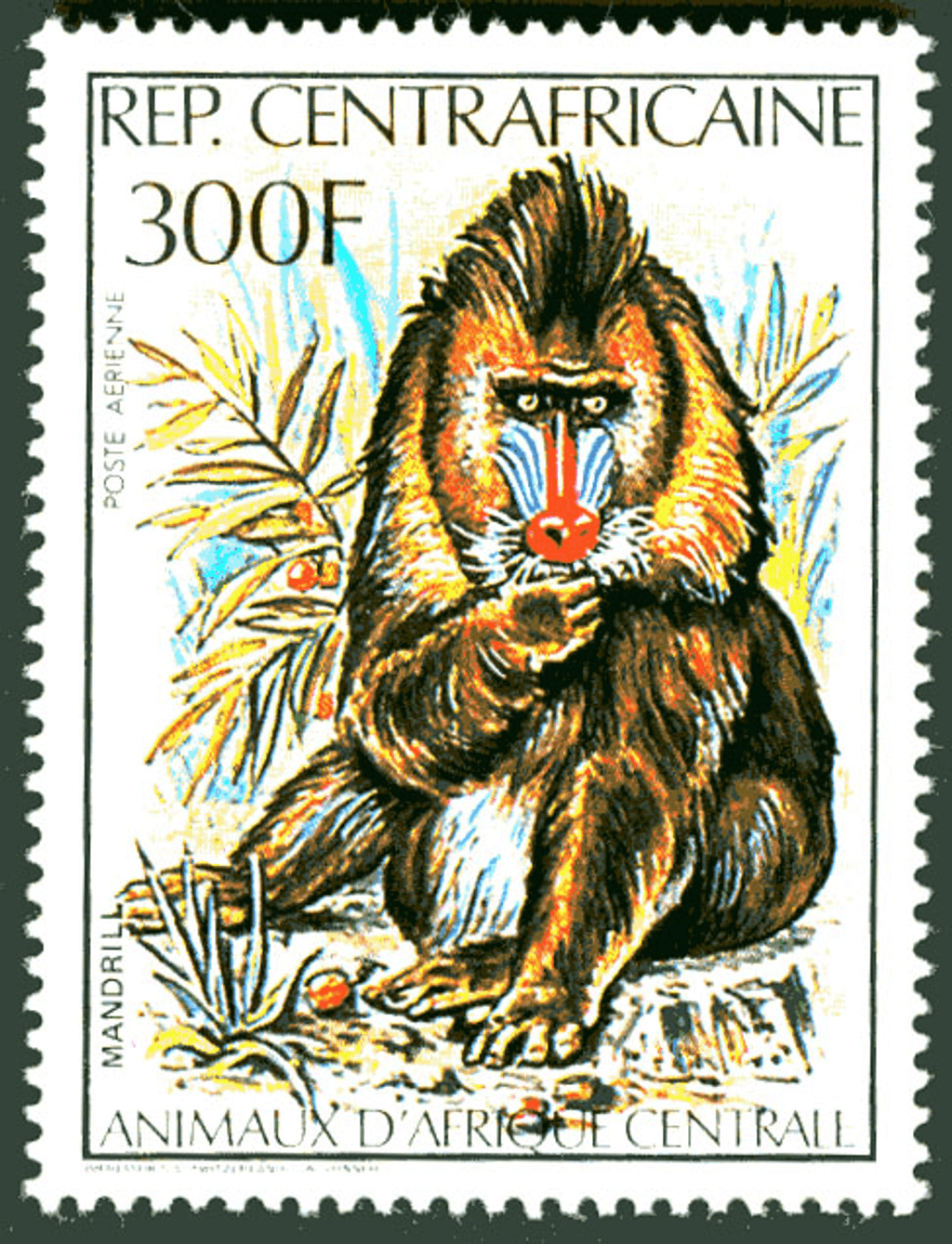 Central Africa Animals