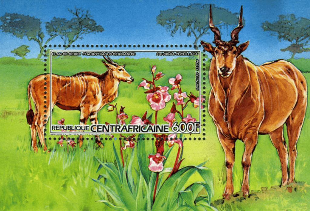 Flora and Fauna 1986