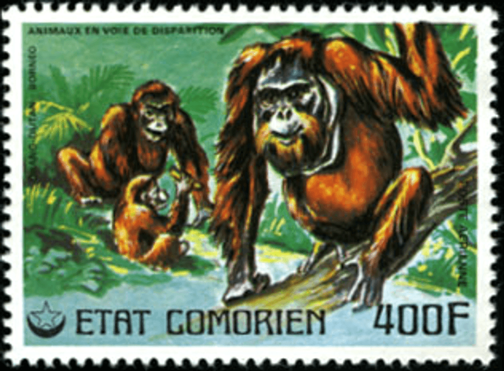 Endangered Animals