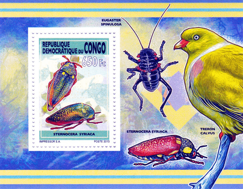 Insect 2012