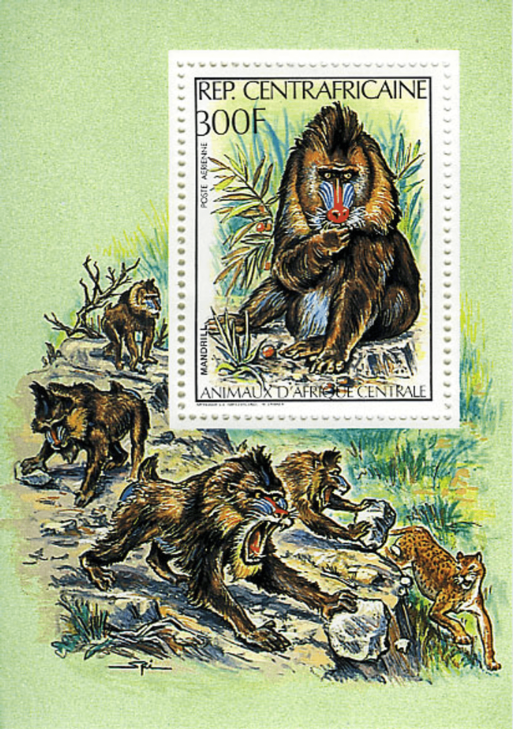 Central Africa Animals