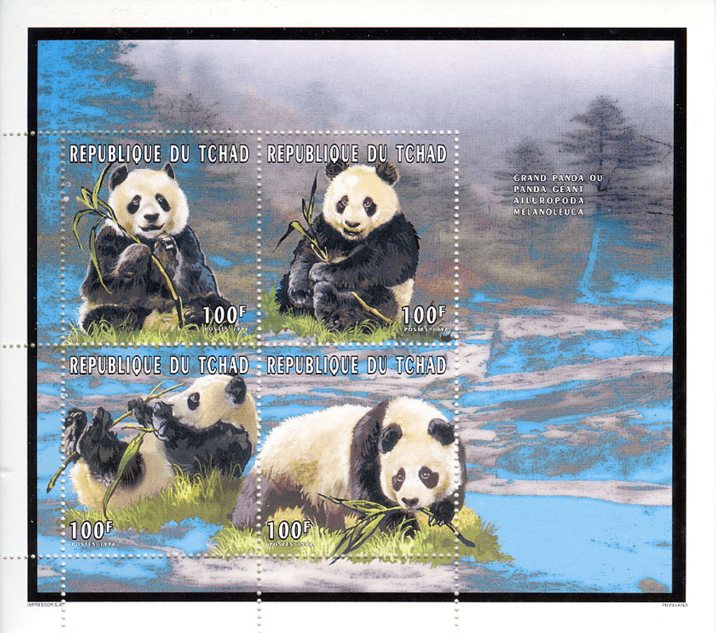 Panda Géant