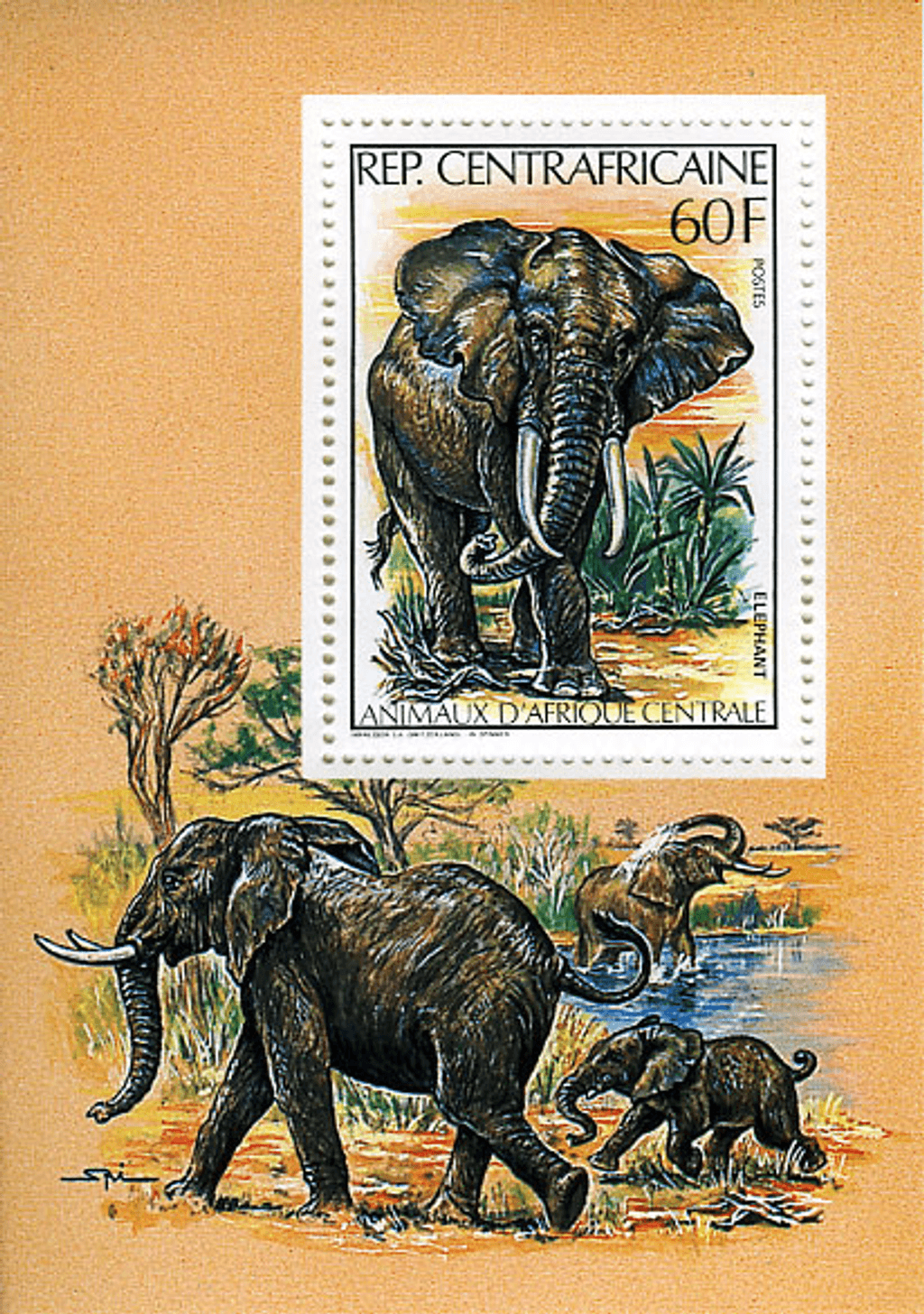 Central Africa Animals
