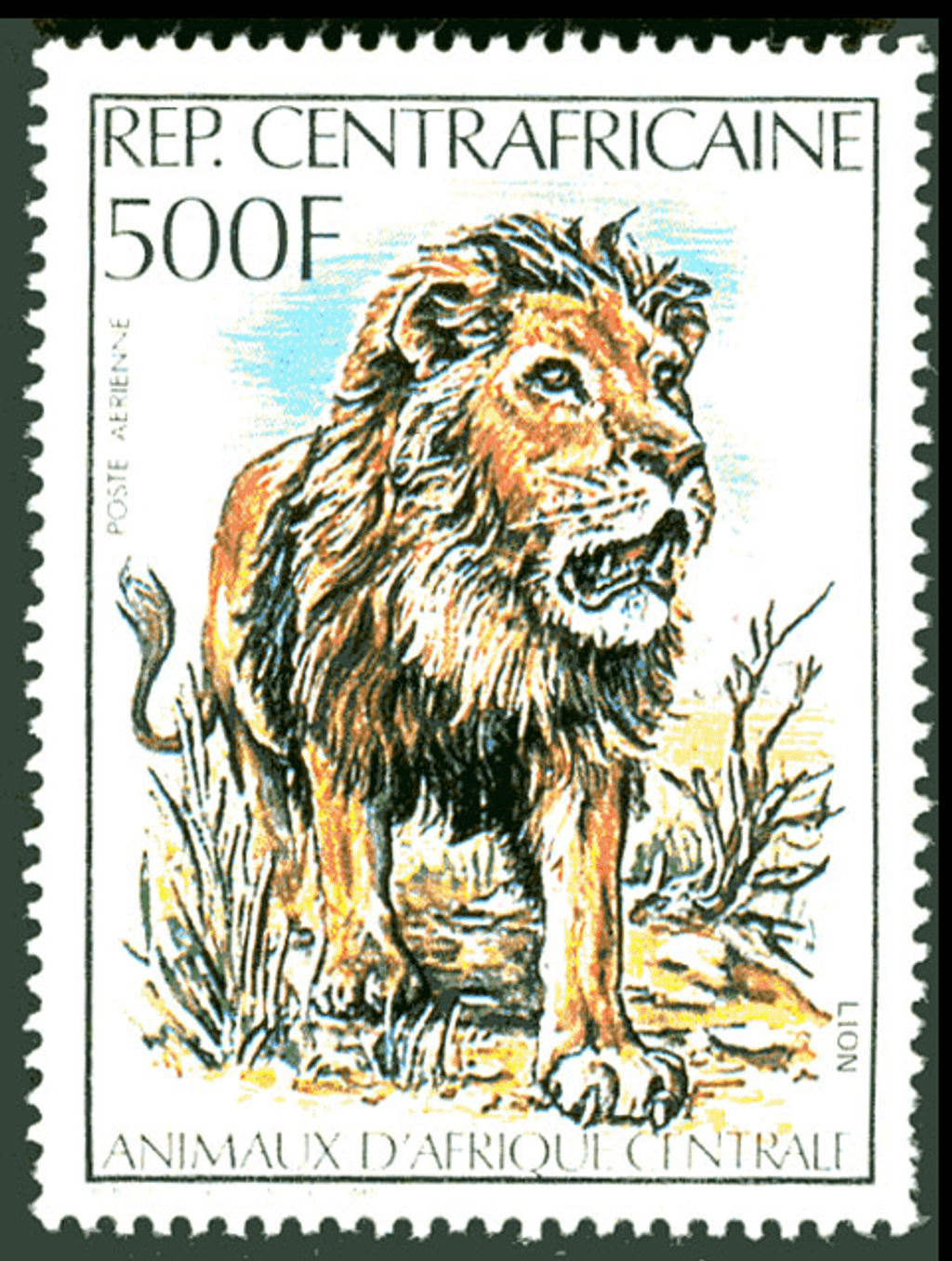 Central Africa Animals
