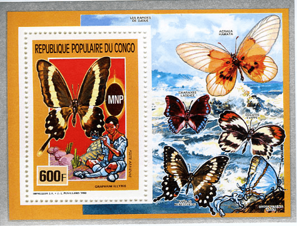 Scouting , Mushrooms & Butterflies