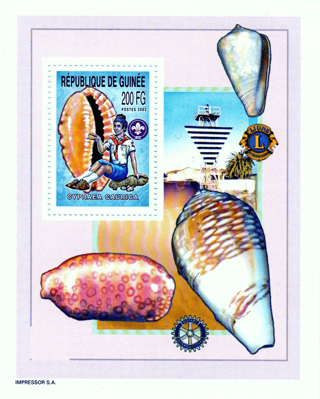 Boy Scout and Sea Snails 2002