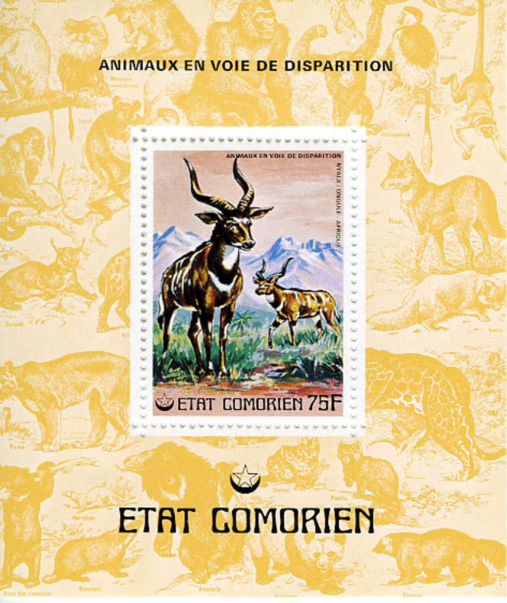 Endangered Animals
