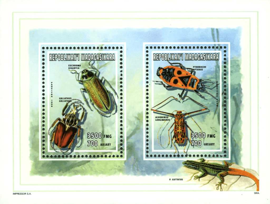Natural: insects, mushrooms, minerals 1998