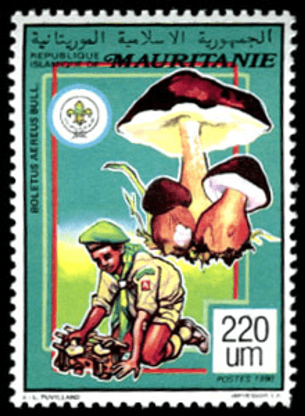 Scouting & Mushrooms